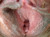Hot Fresh Mature Reveals her Hairy Pussy